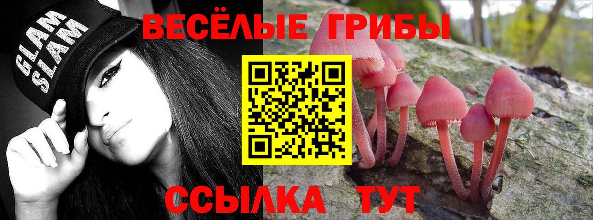 Каспийск  Галлюциногенные грибы мухоморы  Вход с VPN  наркотики  Галлюциногенные грибы ЛСД 